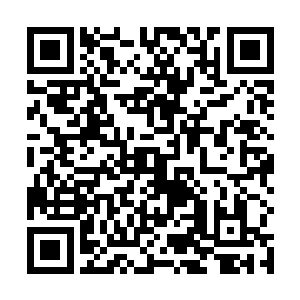一个已经连太上仙王都没有的种族还敢称虚无三大种族二维码生成
