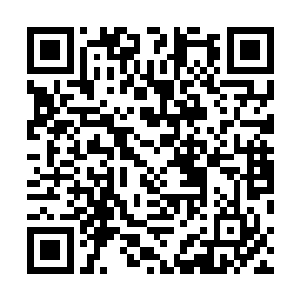 一个没有界的修士会被一个有界的修士轻易地笼罩在界中二维码生成