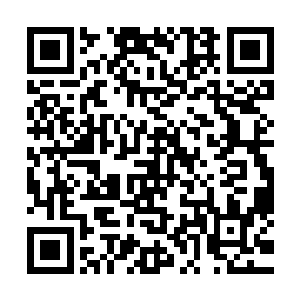 一位太上仙王便是可以让一个种族成为诸天百界十大种族之一二维码生成
