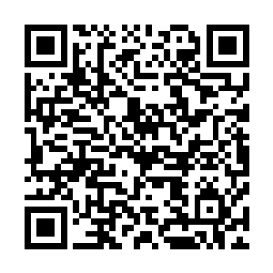 一级机构一把手任免都由管组织的副书记或者组织部长谈话二维码生成