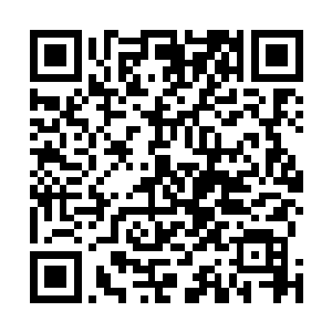 一般的平民是绝对无法支付法师的学习与其它实验费用的二维码生成