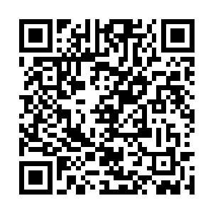 一颗和原来一般无二的绿色树木重新出现在他面前二维码生成