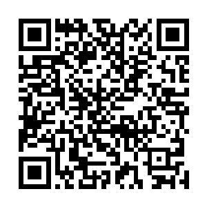 万藏海的意志可以贯彻到整支移民舰队的每一束神经末梢二维码生成