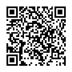 三门迫击炮在树林里比较空旷的地方已经设置好了炮位二维码生成