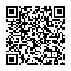 上面的数字已经剧减到了全银河虚拟网络通过人数总计3312503人二维码生成