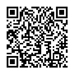 不但是要看股票代表的本身价值以及各种数据材料的公示二维码生成