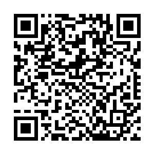 不知道合适已经转移到他的身上了……尽管他们隐藏了起来二维码生成