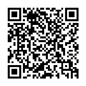 不让他们去骚扰正在攻击万妖大阵的圣级混沌兽和域外天魔就行二维码生成