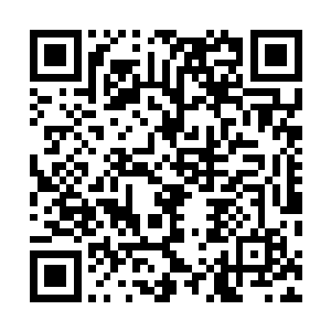 与此同时一股无比恐怖的血腥的气息顿时从里面散发出来二维码生成
