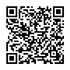 与第一名的儒公子和第二名的冰仙子实力相差无几二维码生成