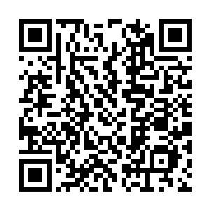 中美双方专家根据视频资料还原案发时的实景实况二维码生成
