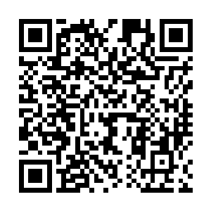 为什么他会回到被主神控制后第一次出反派任务的世界二维码生成