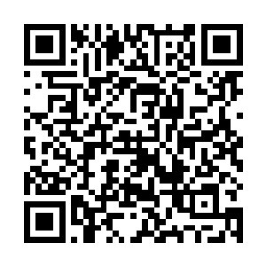 为什么刚刚自己的攻击根本无法伤害到楚旬和爱丽丝了二维码生成