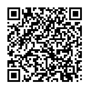 也出现了数股实力强横的水妖势力和暗地被四大宗派扶持的散修派系势力二维码生成