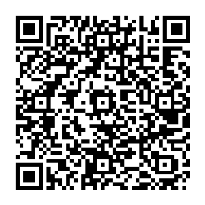 也是众多的影视公司和经纪公司都无比眼热的如果能在明湖文化的电视剧里拿个角色二维码生成