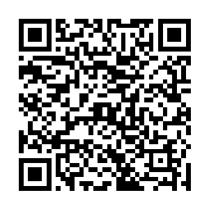 于是叶枫把吞明草的外貌特征简单的给他们描述了一下二维码生成