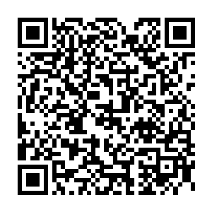 五年的成果并不仅仅表现在蜀生公司的发展和小青山民团的壮大上二维码生成