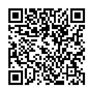 从我震撼的目光里他已然明白我已经懂了那一次爬上的深意二维码生成