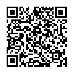 从现在开始这片土壤和仙桃村的土壤已经是完全一样的了二维码生成