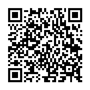 从而直接导致游戏中的惩罚结果由咕仔制定又有咕仔全包二维码生成