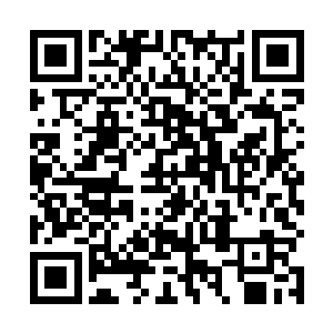 从船舱的顶部便刷拉刷拉的撒了下来好几张结实的渔网二维码生成