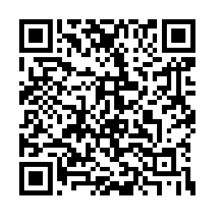 他们两个之间耳朵战斗注定会是非常引人注目的二维码生成