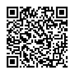 他们会根据命令把炮弹送到距离作战区域最近的海岸边二维码生成
