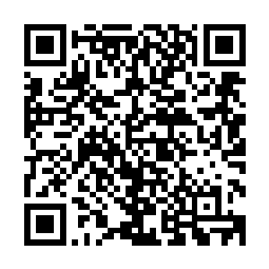 他们俱都要求从今以后我们许家商铺上交给他们的税收翻一倍二维码生成