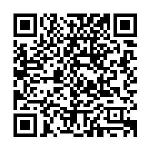 他们决定放弃这个堆满了快捷视频包装用具和外卖盒子的厨房了二维码生成