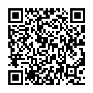 他们只想打完一场硬仗然后得到更多的钞票这种问题二维码生成