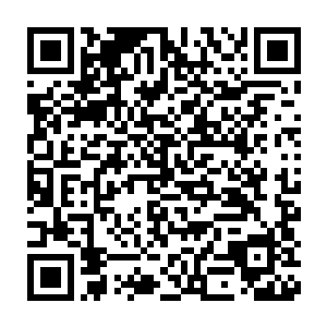 他们同样不希望一向被他们保护地很好的赵怡去接触这么复杂的一个人二维码生成