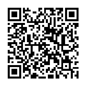 他们必须利用这几分钟把已经写好的代码输入电脑二维码生成