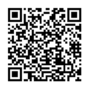 他们感念秦芳的恩德就是因为他给了他们还算安宁富足的生活二维码生成