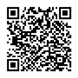 他们或许可以想到林思风是为了借用他们的力量二维码生成