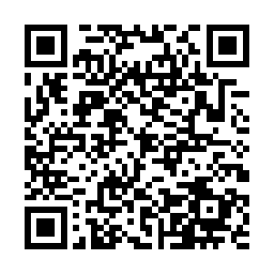 他们拉的横幅是抗议华国在南海勘探侵犯了岳兰领海二维码生成