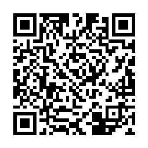 他们曾屡次找过我们几个修真堂的长老去探问过此事二维码生成