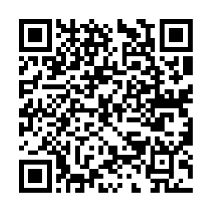 他们正在通过大规模偷猎活动为恐怖组织积累资金二维码生成