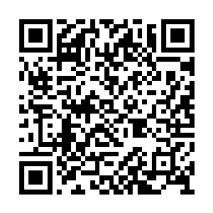 他们的生命永远终结在了这个荒凉而陌生的地方二维码生成