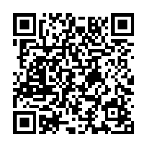他们的表现也确实要比卡迪夫城的球员们淡定一些二维码生成