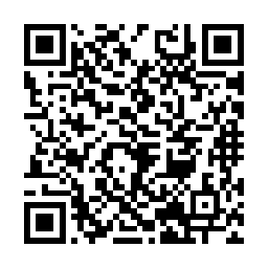 他们相信还是不相信影片展示的这个世界并不重要二维码生成