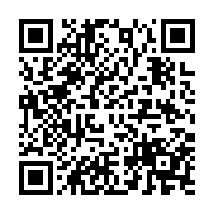 他们真的确信秘社是在打造一个从未存在过的理想国乌托邦二维码生成