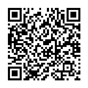 他们还要想尽一切办法将他们送回他们的世界树里面进行轮回二维码生成