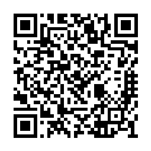 他们这等化虚境界的实力阵法是不会攻击他们的二维码生成
