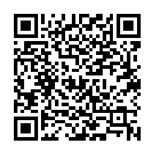 他们门下的修神期修士已经开始阻拦张潇晗开山立派了二维码生成