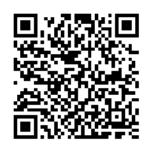他完全无法分辨出这是真正的犀鸟在叫还是露西卡发出的声音二维码生成