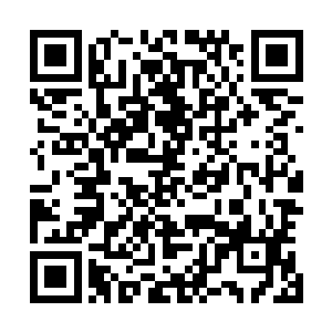 他就不信一段生命之子使用能量的短暂记忆会让他无法承认二维码生成