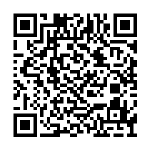 他现在的确很需要一些帮手带他去岛国的北海代二维码生成
