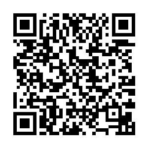 他问――为什么我们的学校总是培养不出杰出的人才二维码生成