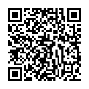 以前的银月城还可以通过定期的巡林客获得暗之森的情报二维码生成