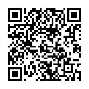 但他的表演老师却指着街道上匆匆而过的行人说到二维码生成